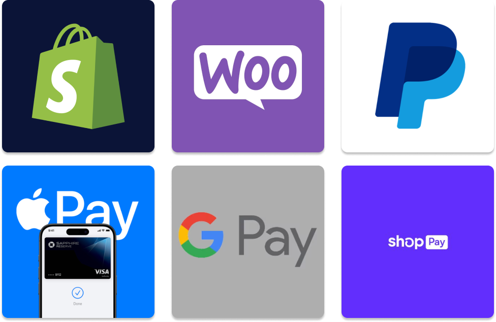 shopify woocommerce paypal applepay googlepay shoppay payments ecommerce mokejimai ekomercija internetines svetaines